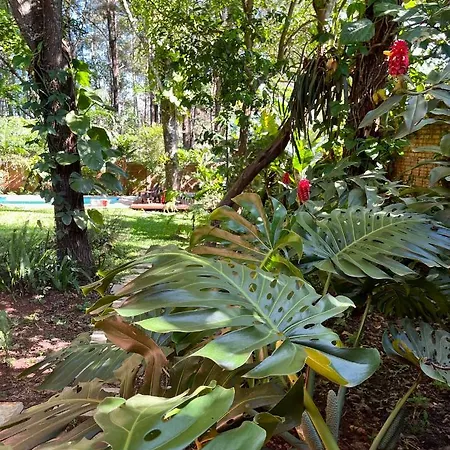 Casa Jaguar Villa Puerto Iguazu Exterior photo