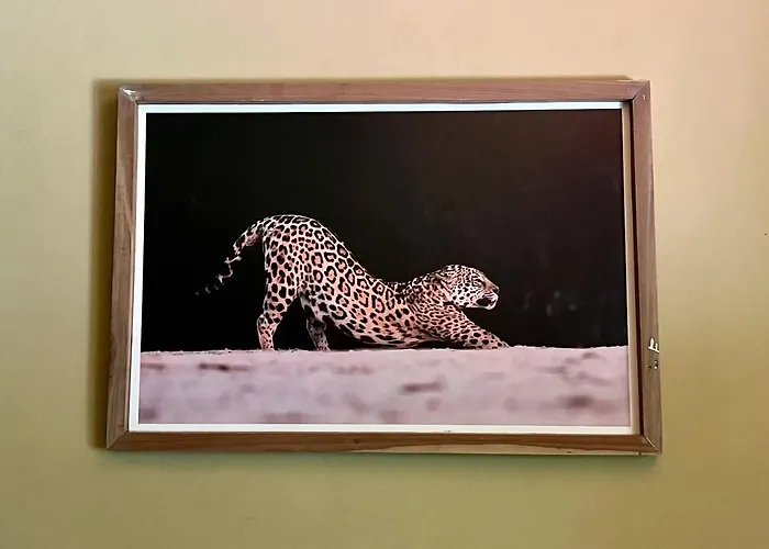 Casa Jaguar