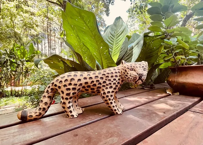 Casa Jaguar