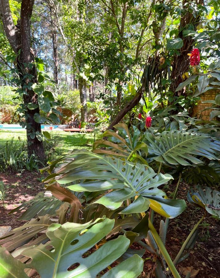 Holiday home Casa Jaguar