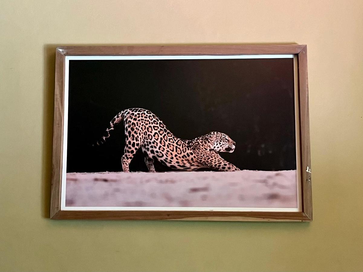 Casa Jaguar Holiday home
