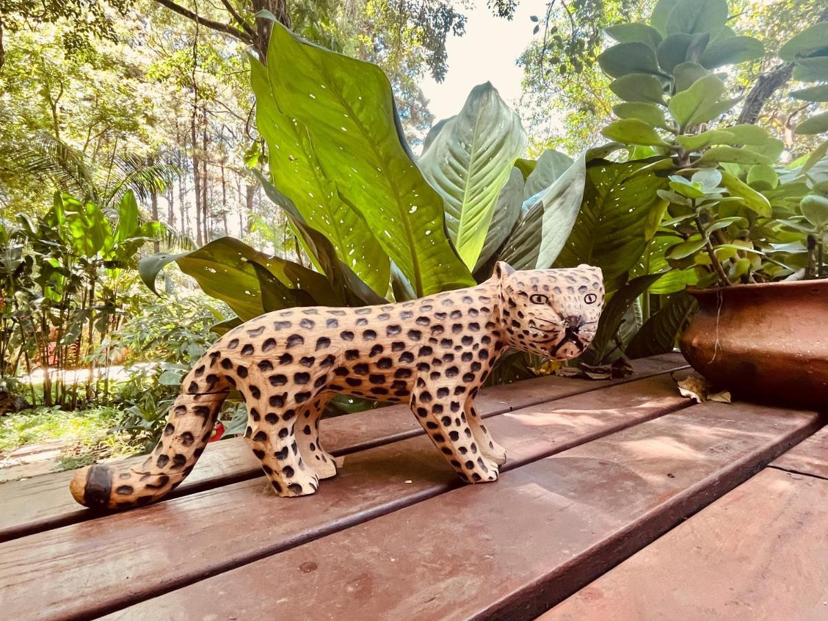 Holiday home Casa Jaguar *